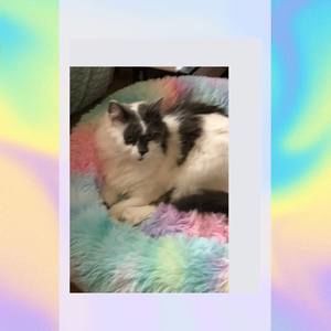 Meet your Posher, Arlyne